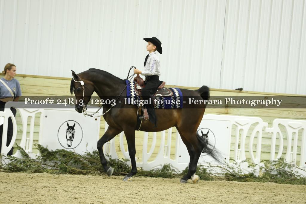 Proof Number 24R13_12203