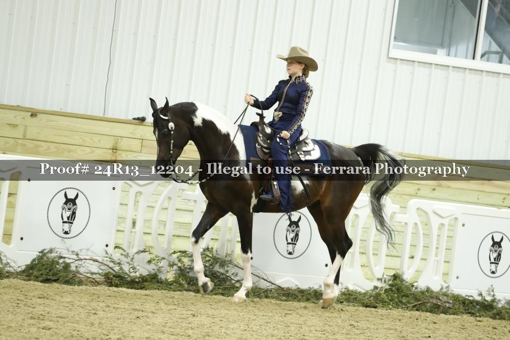 Proof Number 24R13_12204
