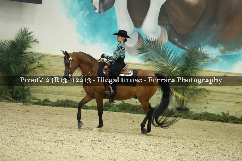 Proof Number 24R13_12213