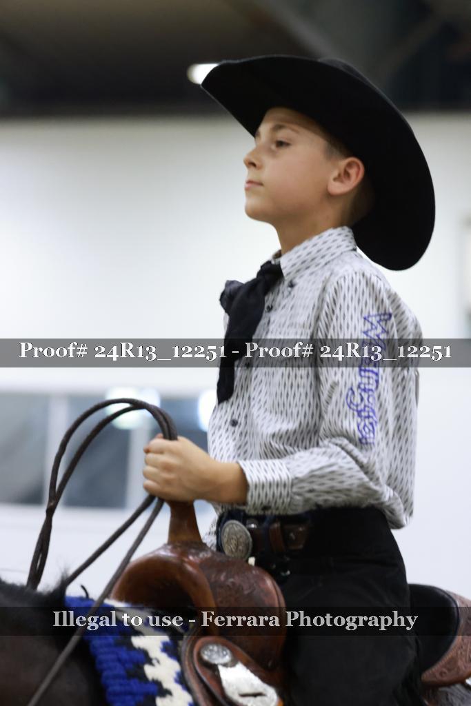 Proof Number 24R13_12251
