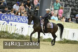24R13_12269 thumbnail