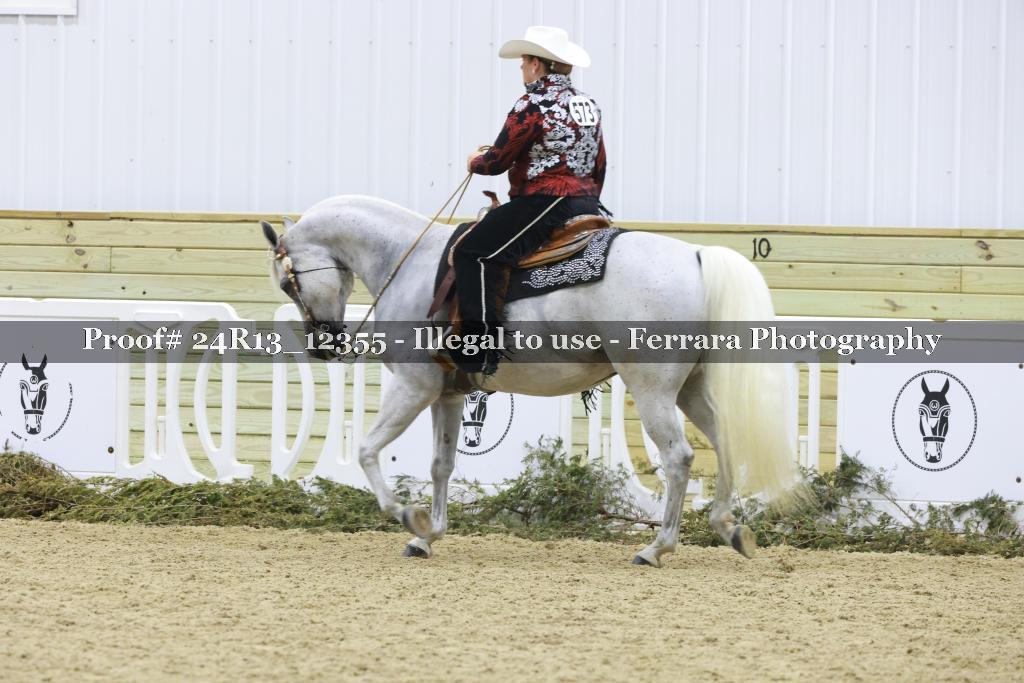 Proof Number 24R13_12355