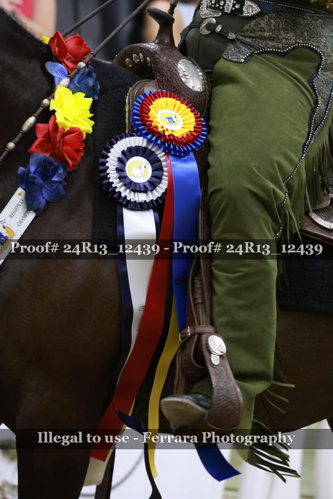 Proof Number 24R13_12439