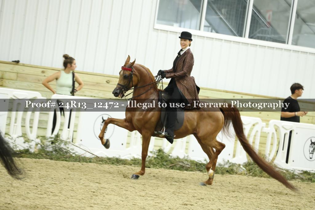 Proof Number 24R13_12472