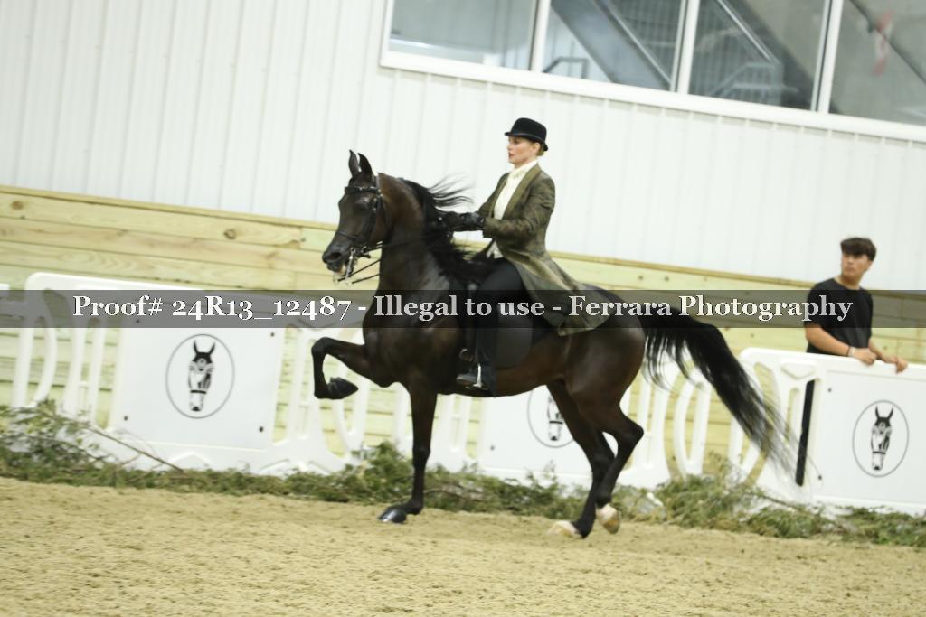 Proof Number 24R13_12487