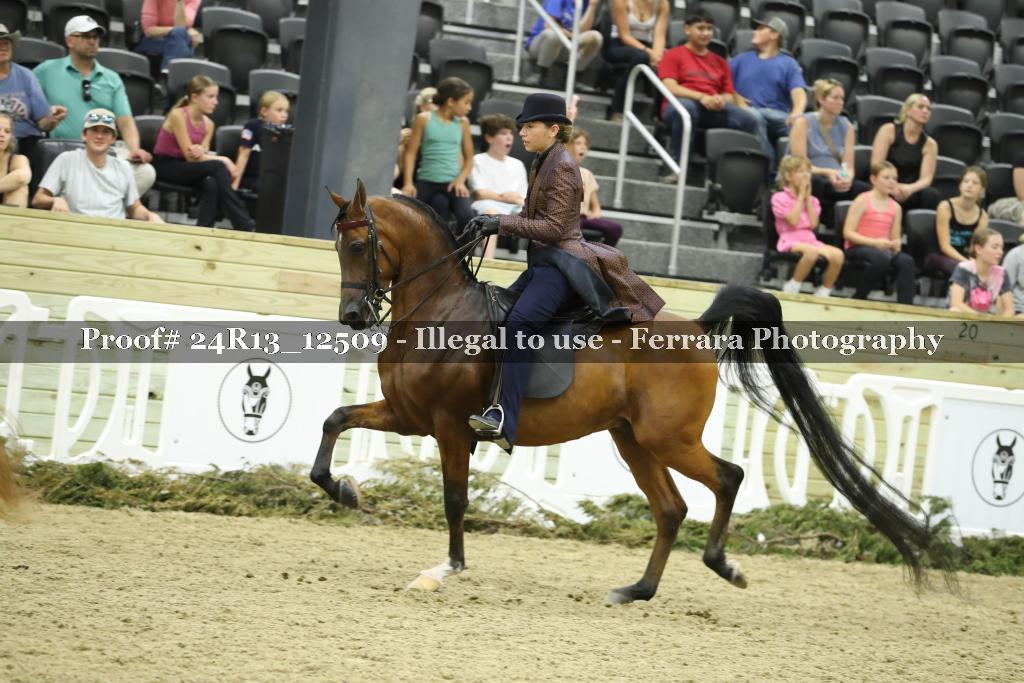 Proof Number 24R13_12509
