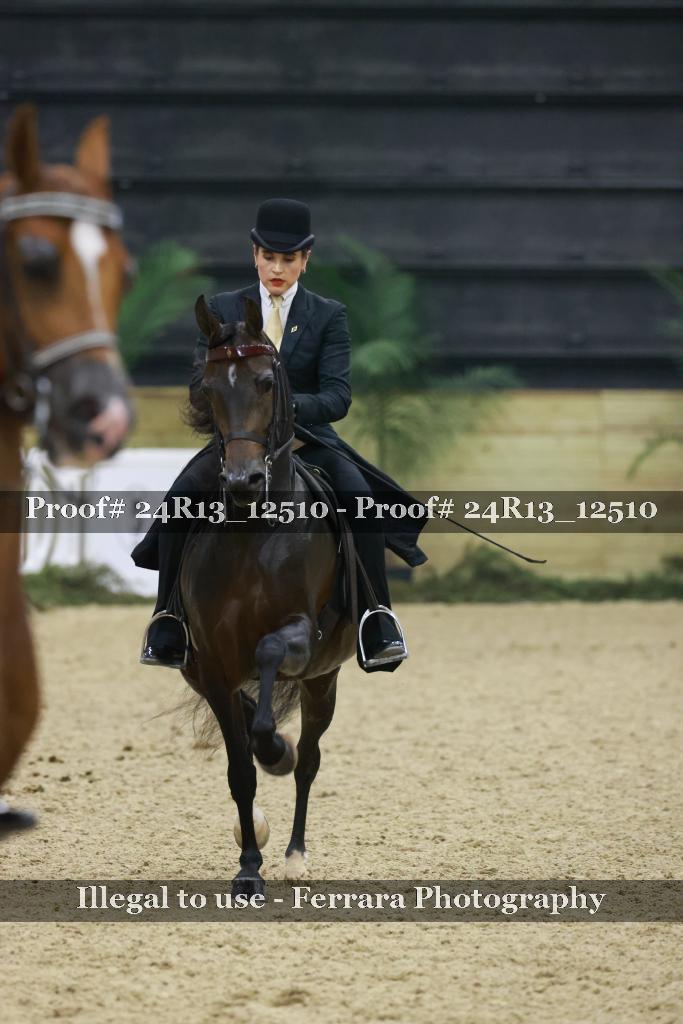 Proof Number 24R13_12510