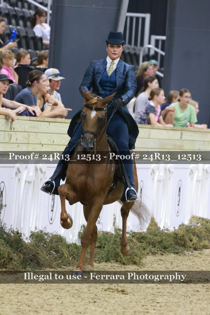 Proof Number 24R13_12513