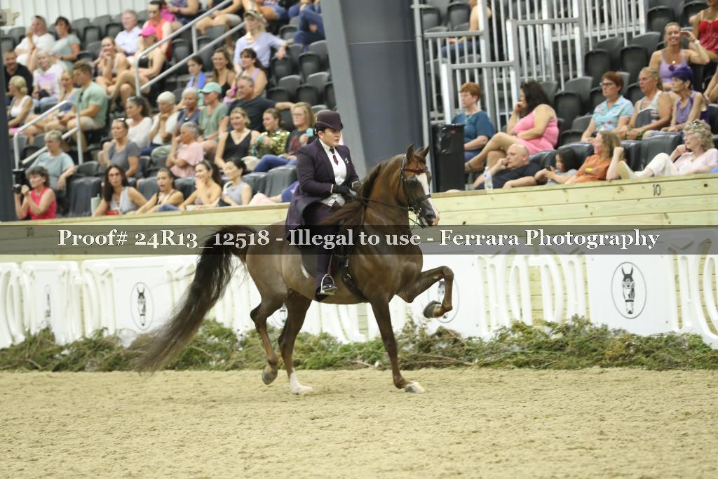 Proof Number 24R13_12518