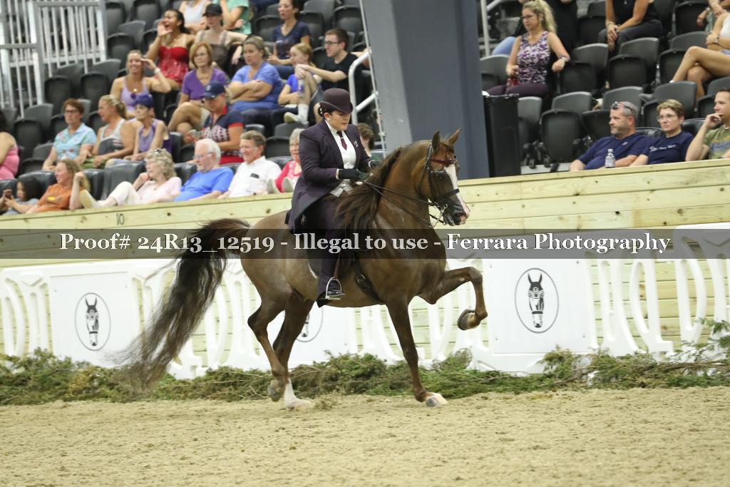 Proof Number 24R13_12519