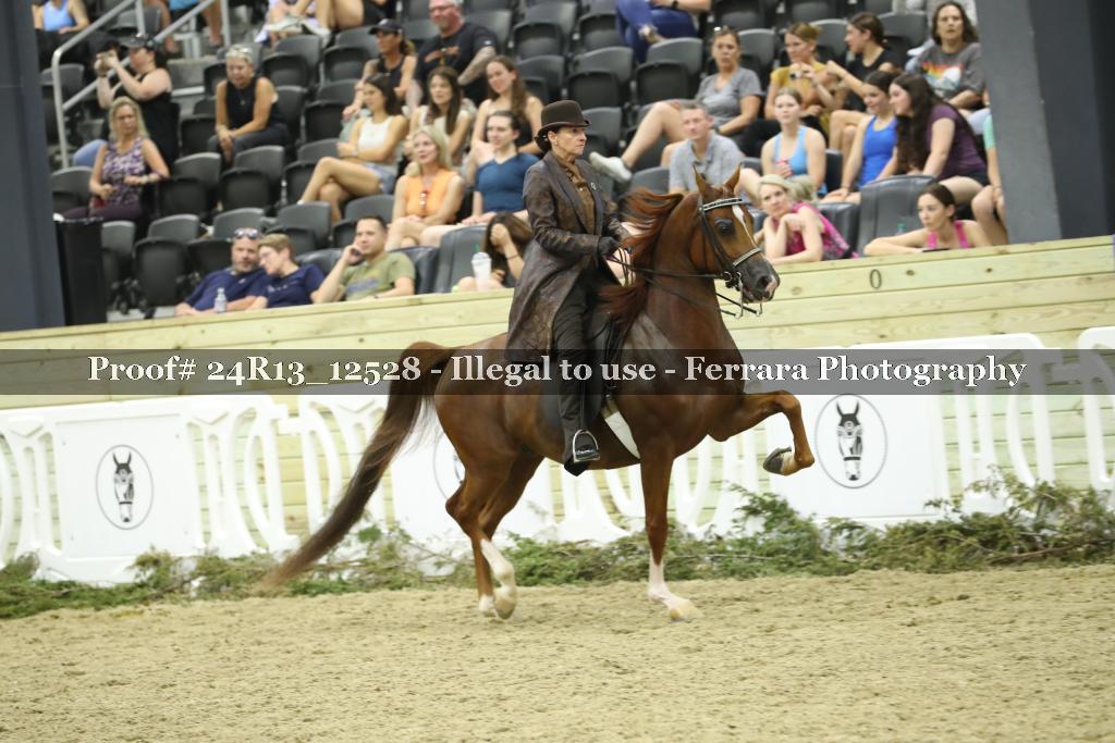 Proof Number 24R13_12528