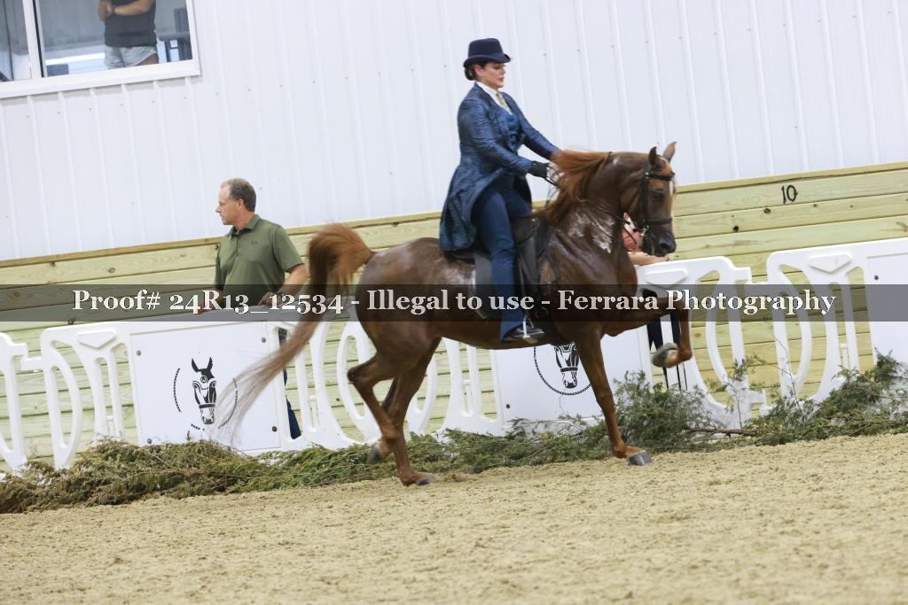 Proof Number 24R13_12534