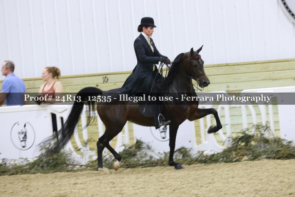 Proof Number 24R13_12535