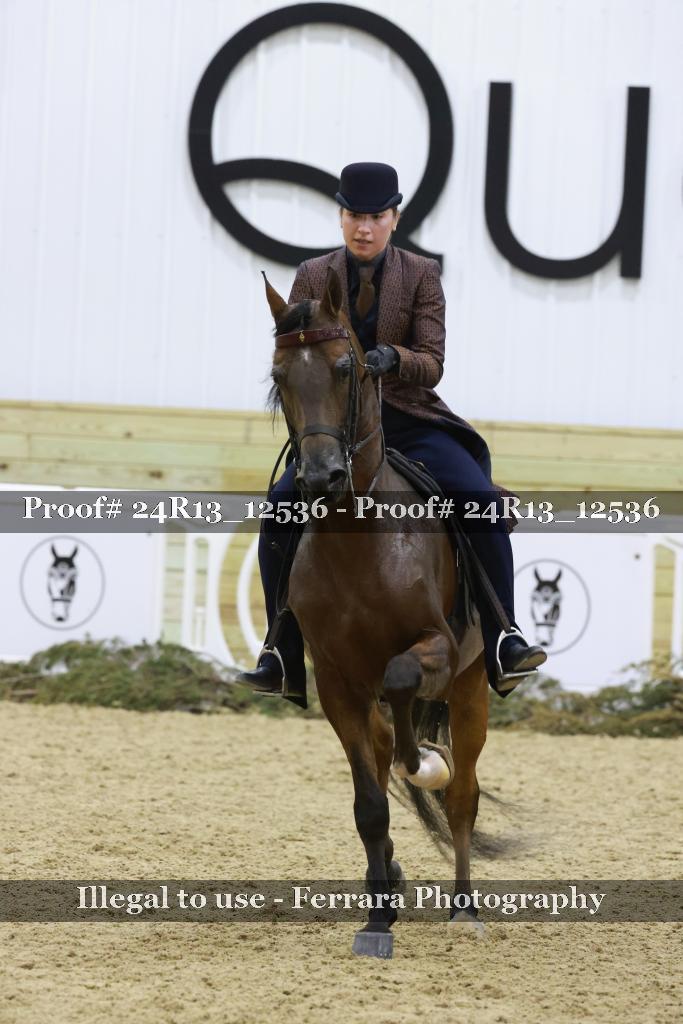 Proof Number 24R13_12536