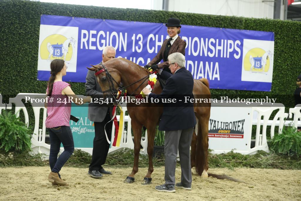 Proof Number 24R13_12541