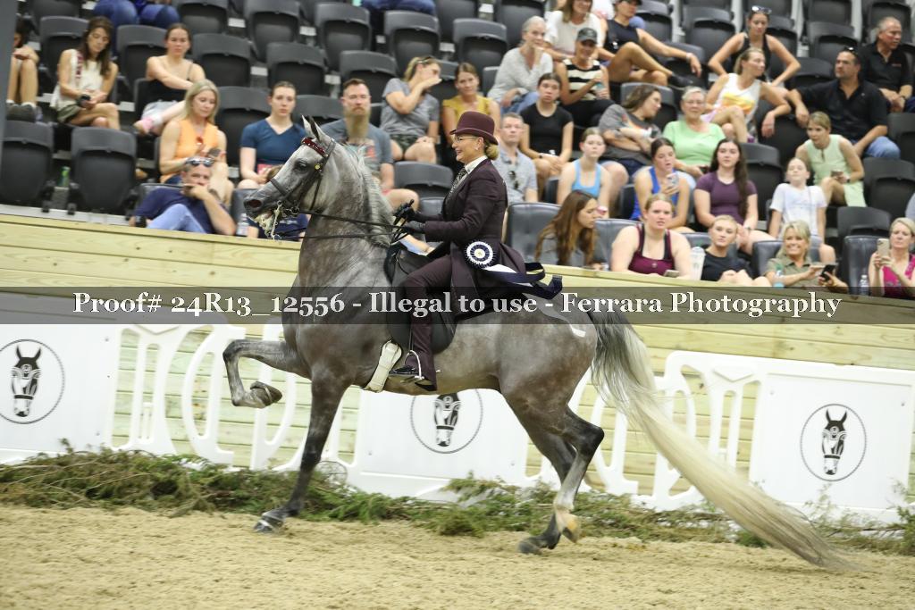 Proof Number 24R13_12556