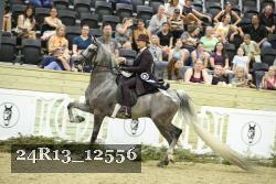 24R13_12556 thumbnail