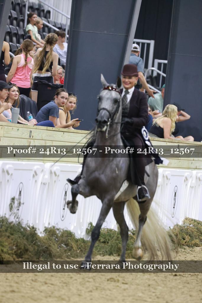 Proof Number 24R13_12567