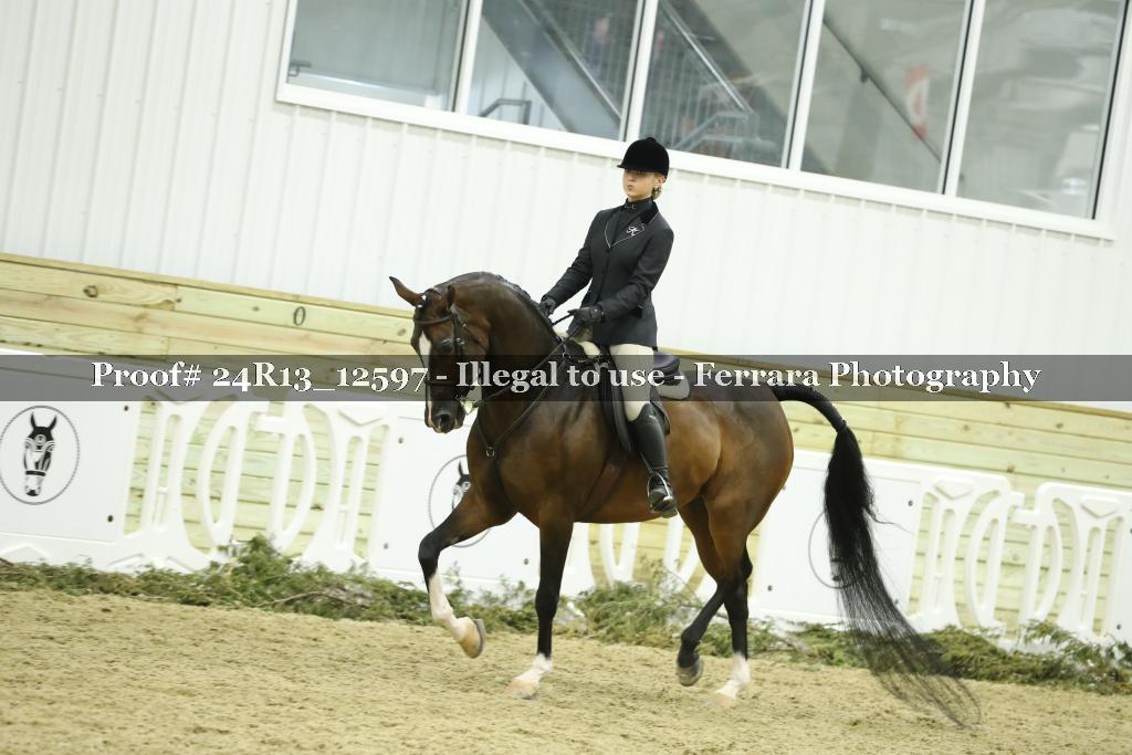 Proof Number 24R13_12597