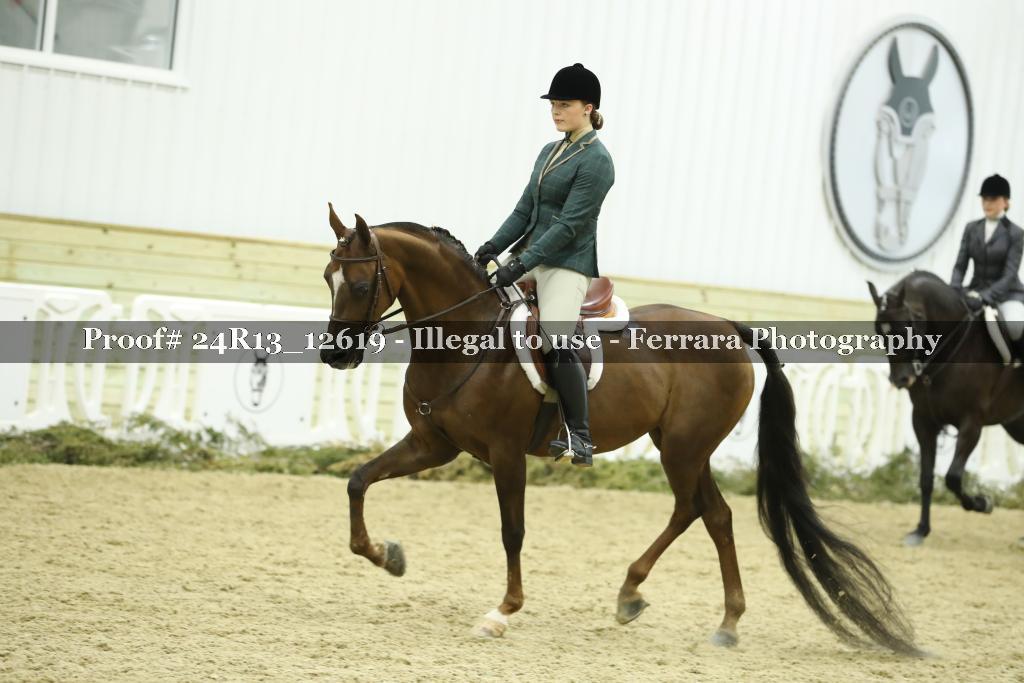 Proof Number 24R13_12619