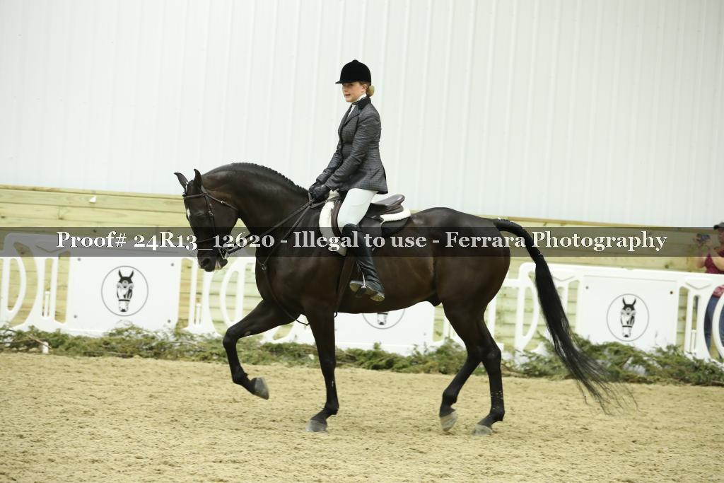 Proof Number 24R13_12620