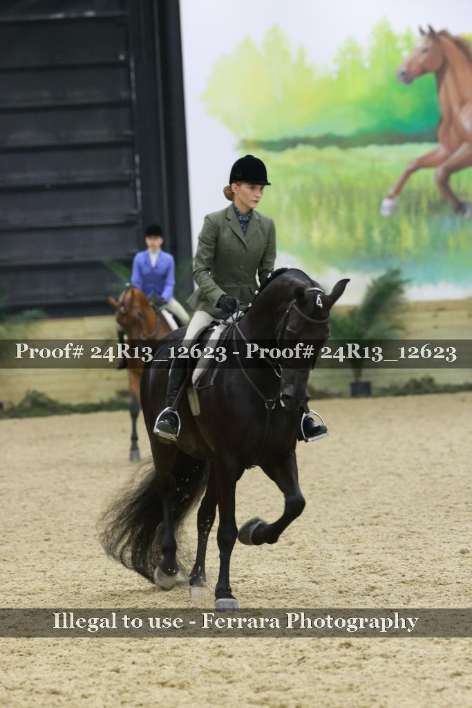 Proof Number 24R13_12623