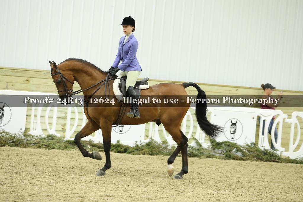 Proof Number 24R13_12624