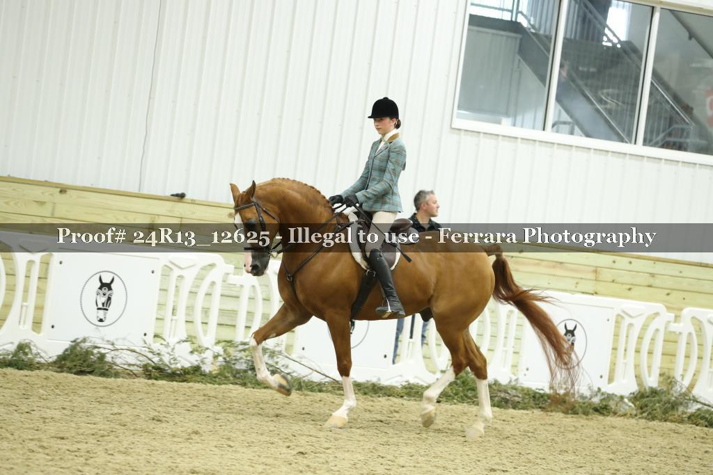 Proof Number 24R13_12625