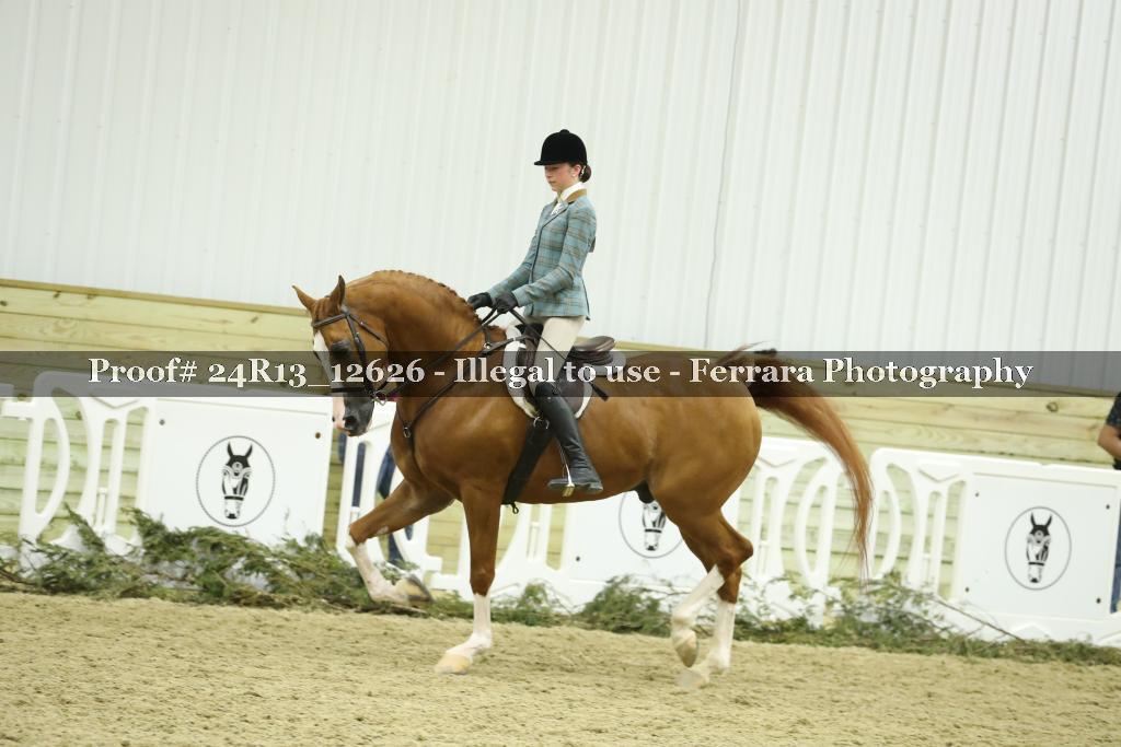 Proof Number 24R13_12626