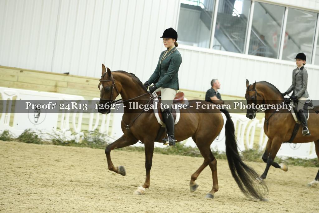 Proof Number 24R13_12627