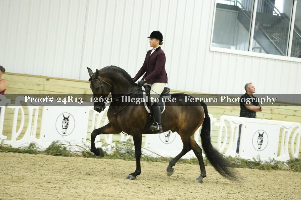 Proof Number 24R13_12631