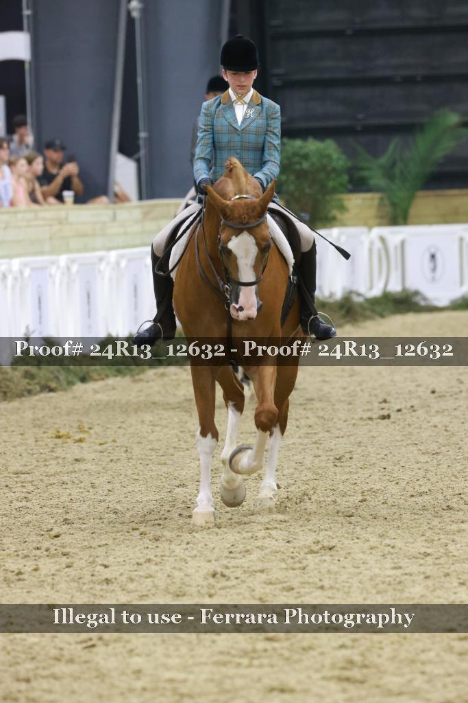 Proof Number 24R13_12632