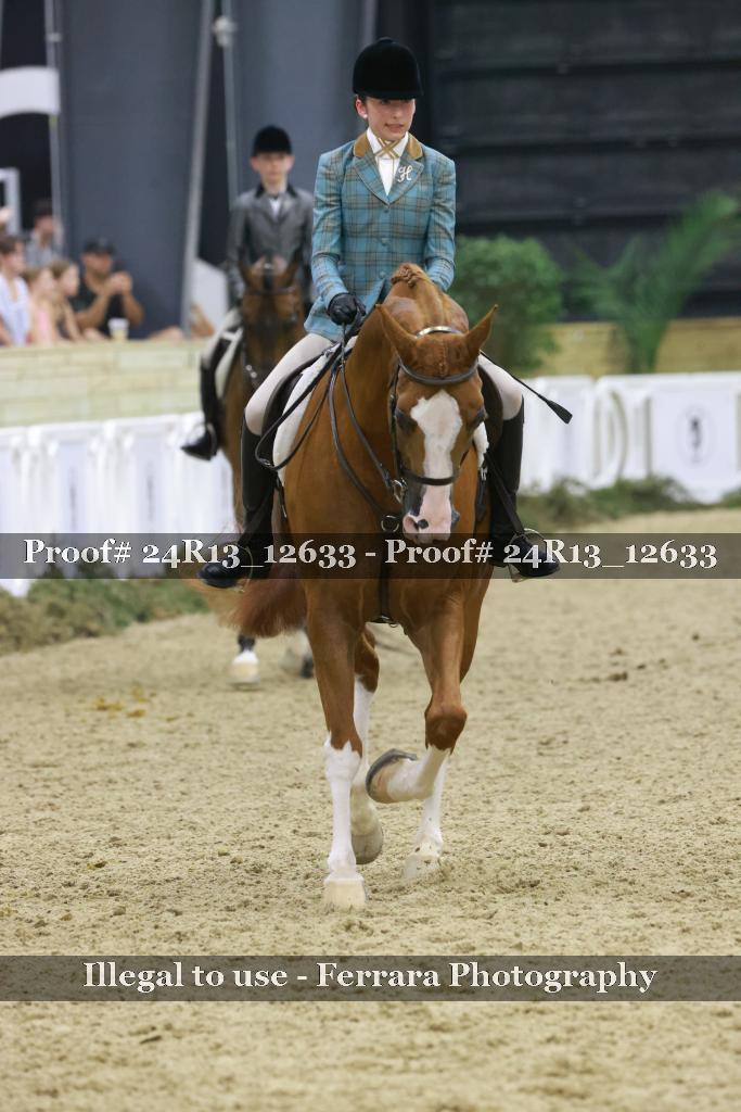 Proof Number 24R13_12633