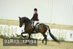 24R13_12634 thumbnail
