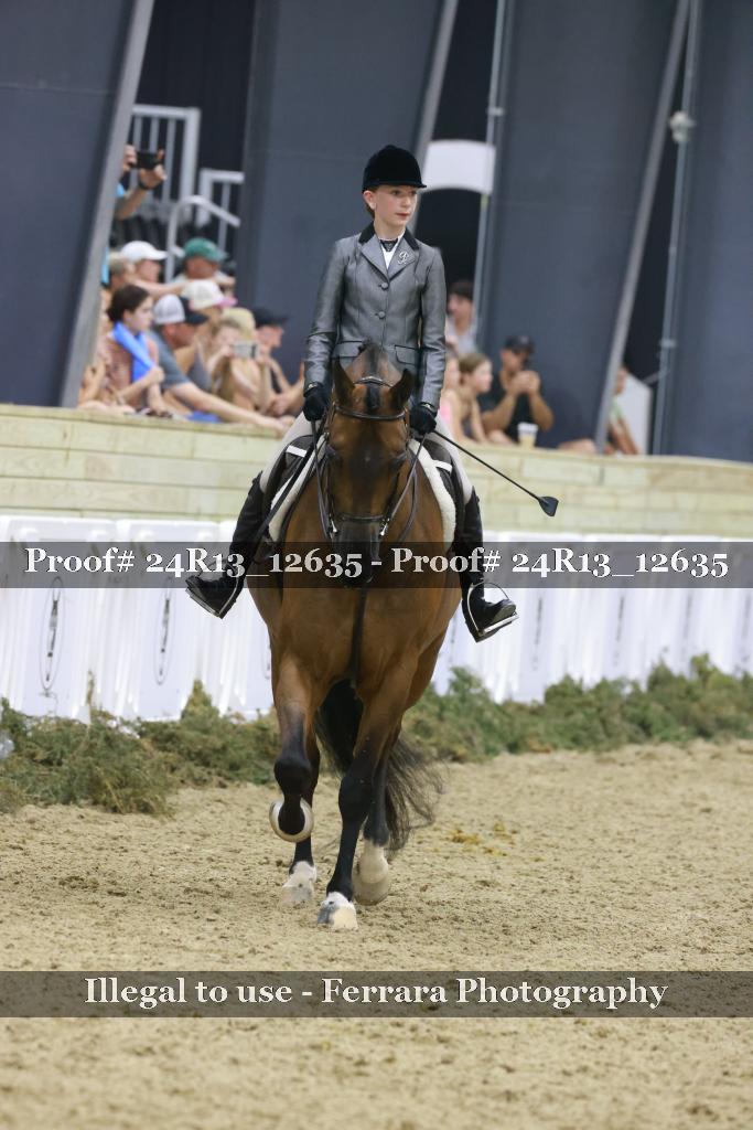 Proof Number 24R13_12635