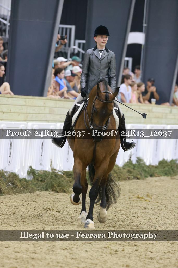 Proof Number 24R13_12637