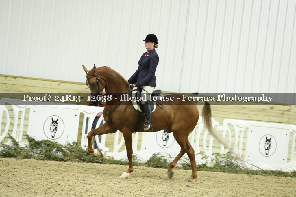 Proof Number 24R13_12638