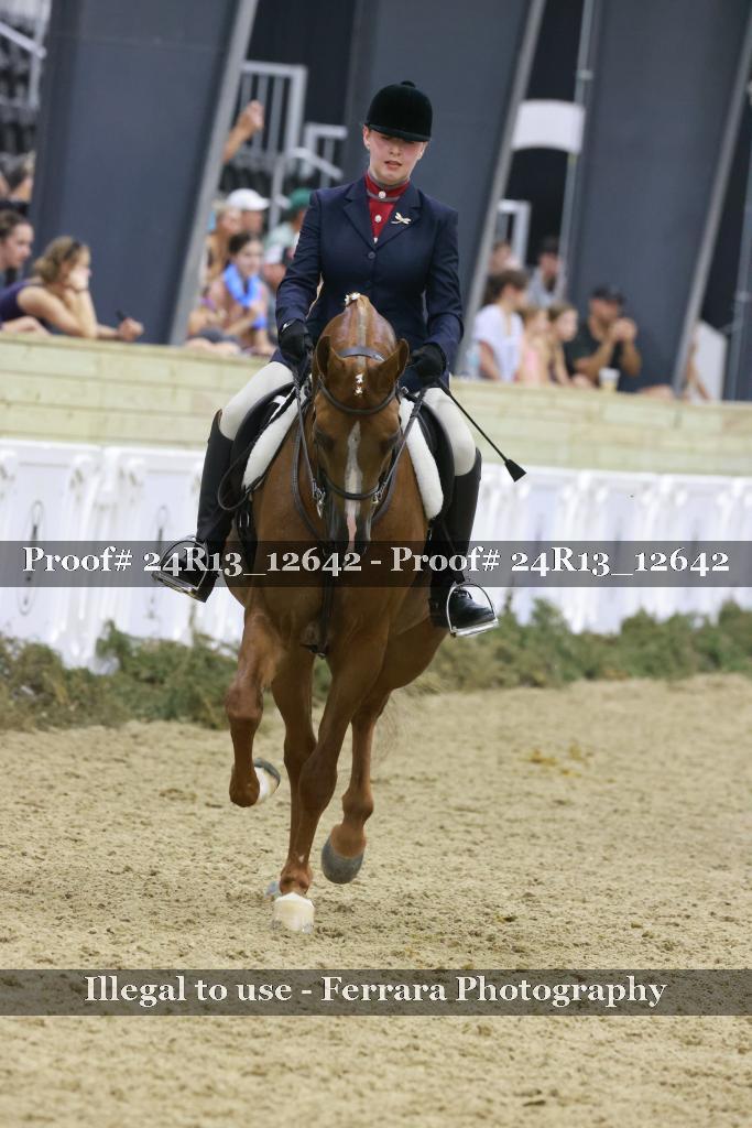 Proof Number 24R13_12642