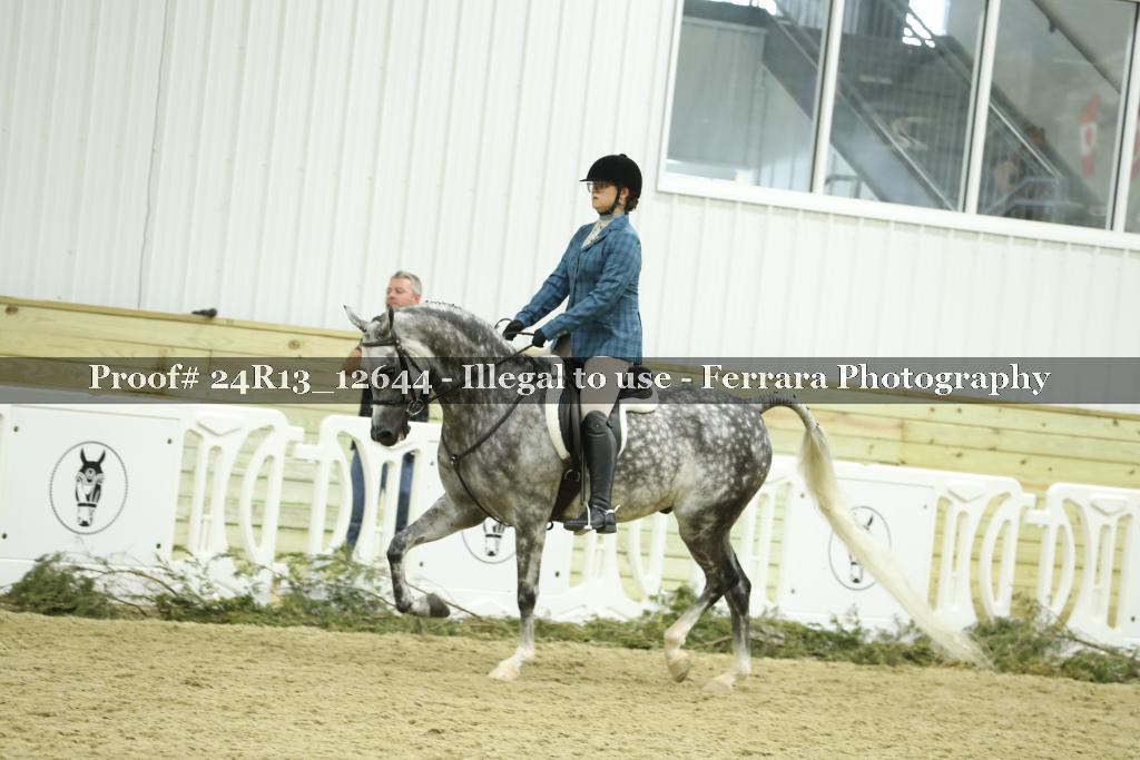 Proof Number 24R13_12644
