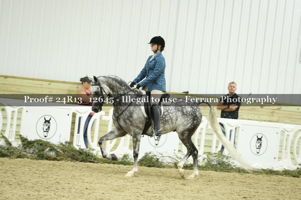 Proof Number 24R13_12645