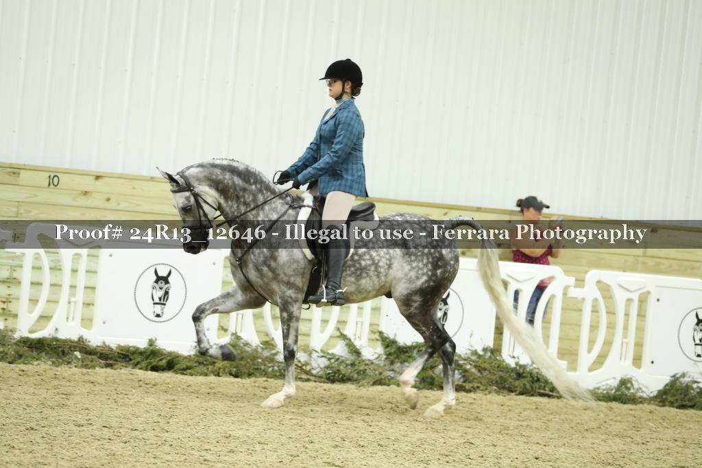 Proof Number 24R13_12646