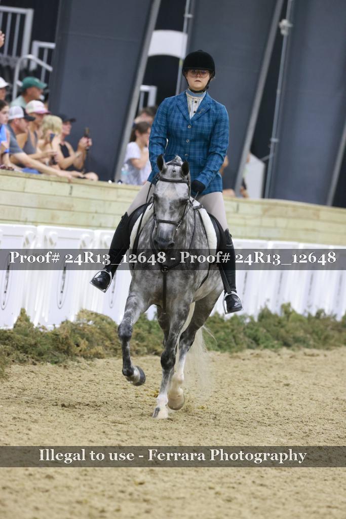 Proof Number 24R13_12648