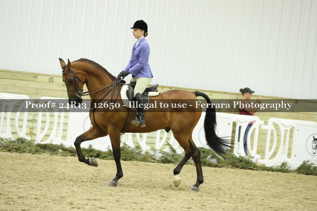 Proof Number 24R13_12650