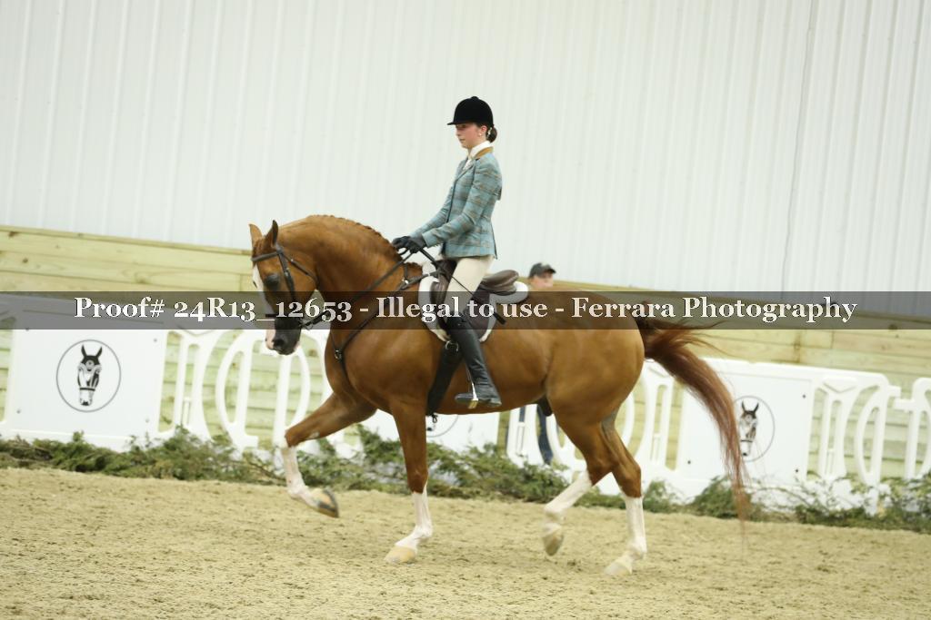 Proof Number 24R13_12653