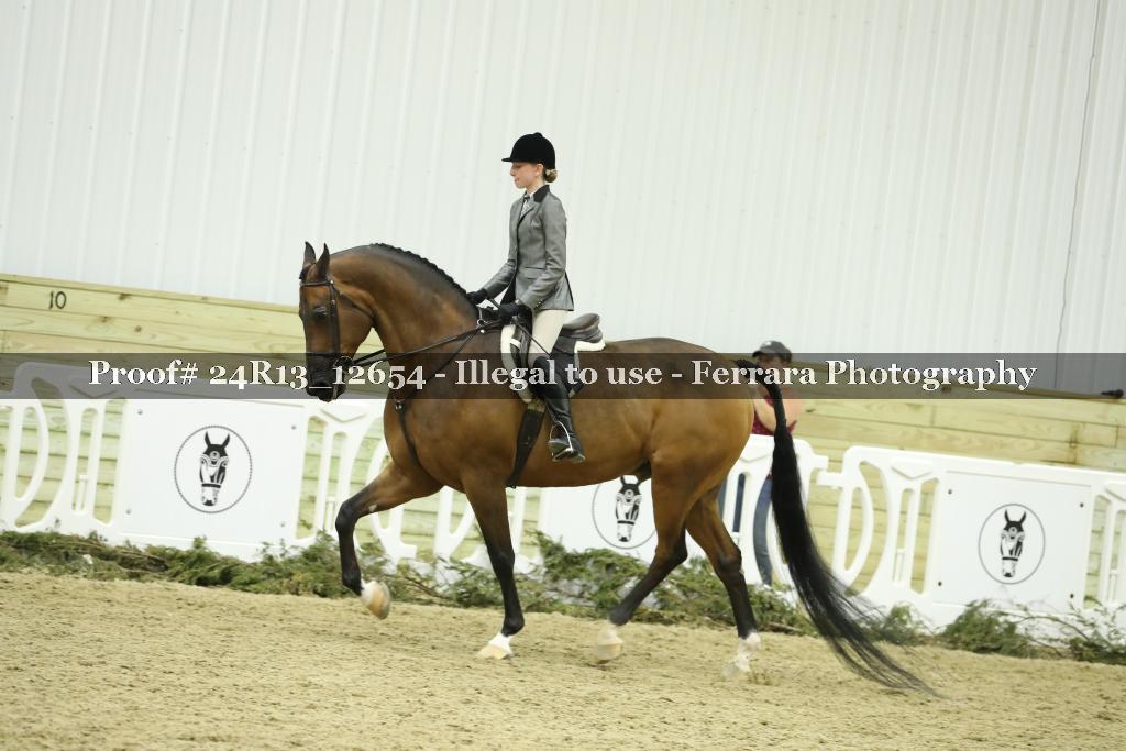 Proof Number 24R13_12654