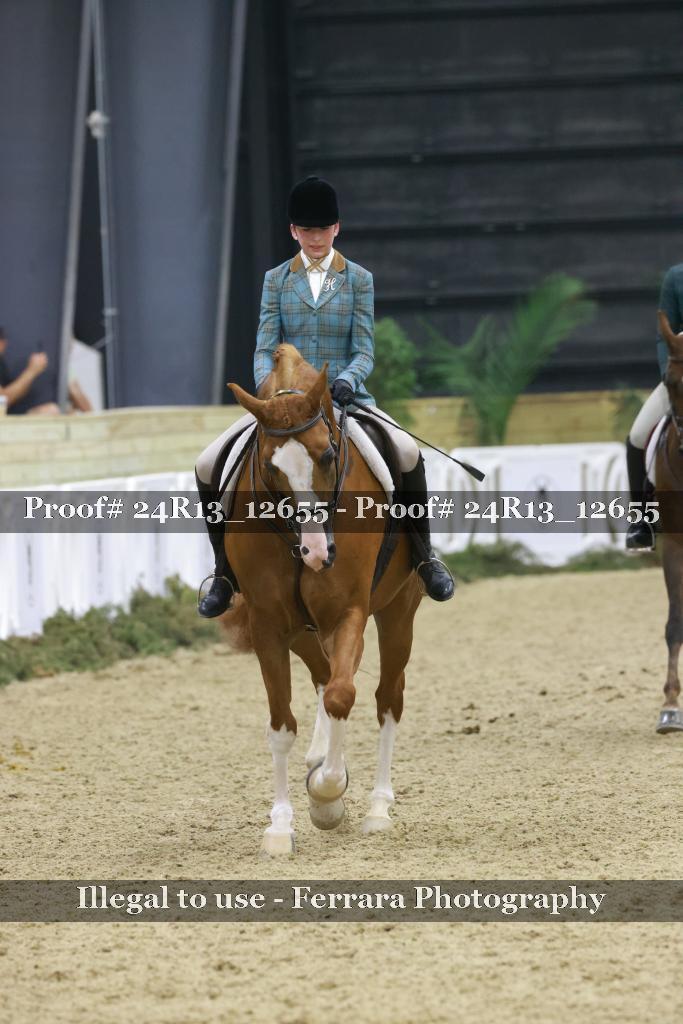 Proof Number 24R13_12655