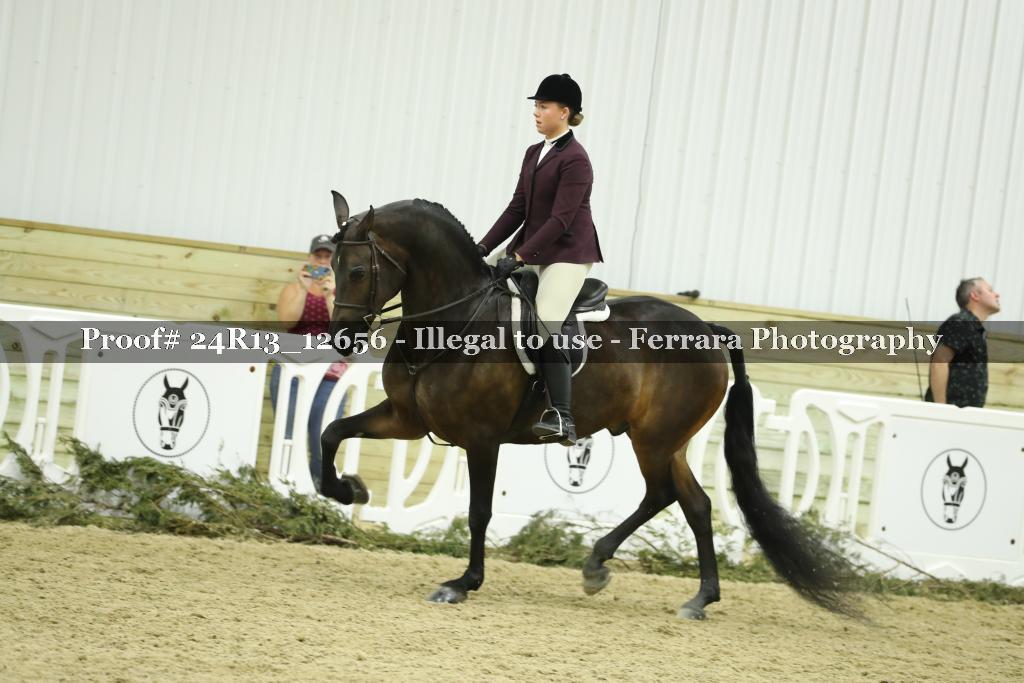 Proof Number 24R13_12656