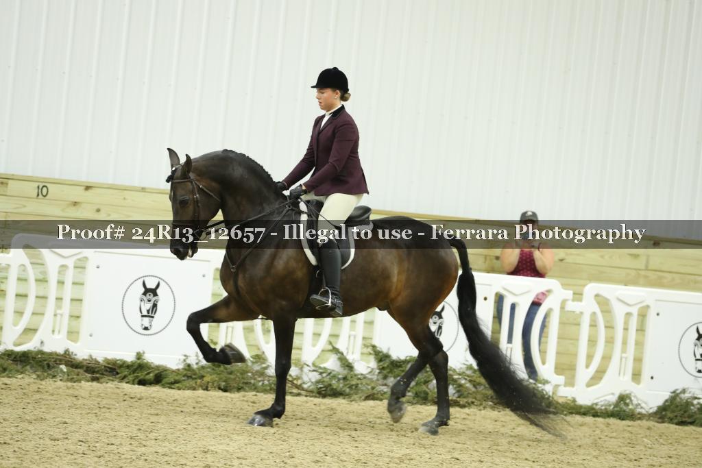 Proof Number 24R13_12657