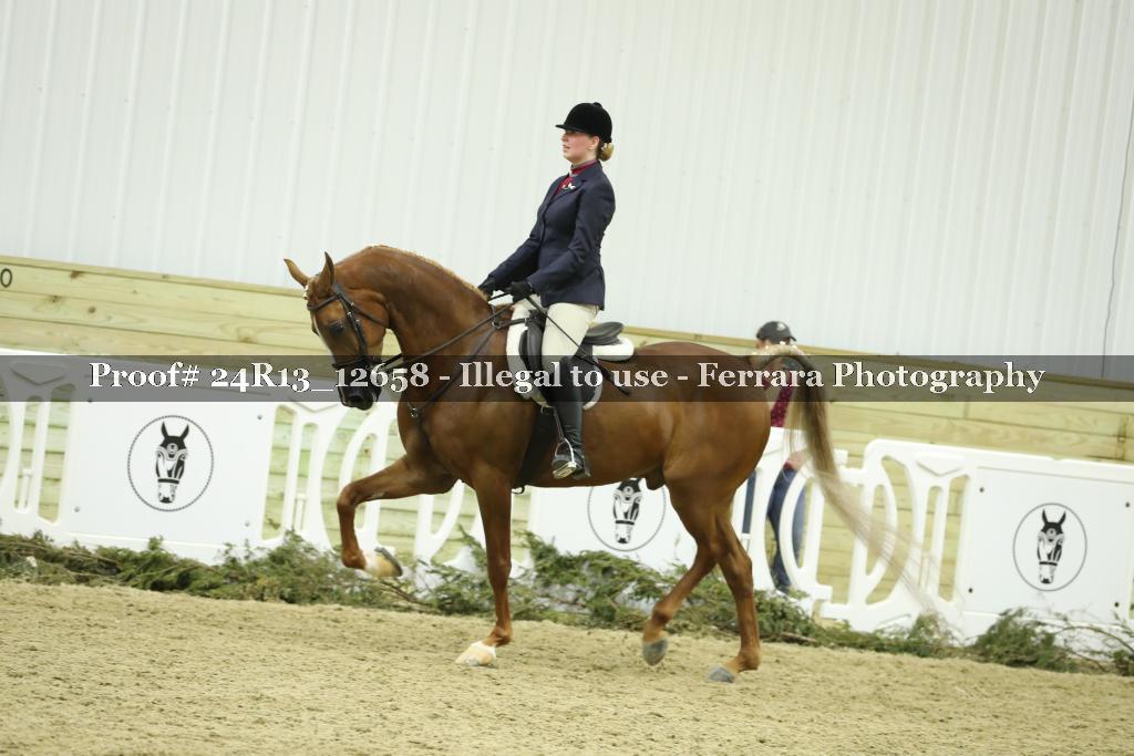 Proof Number 24R13_12658