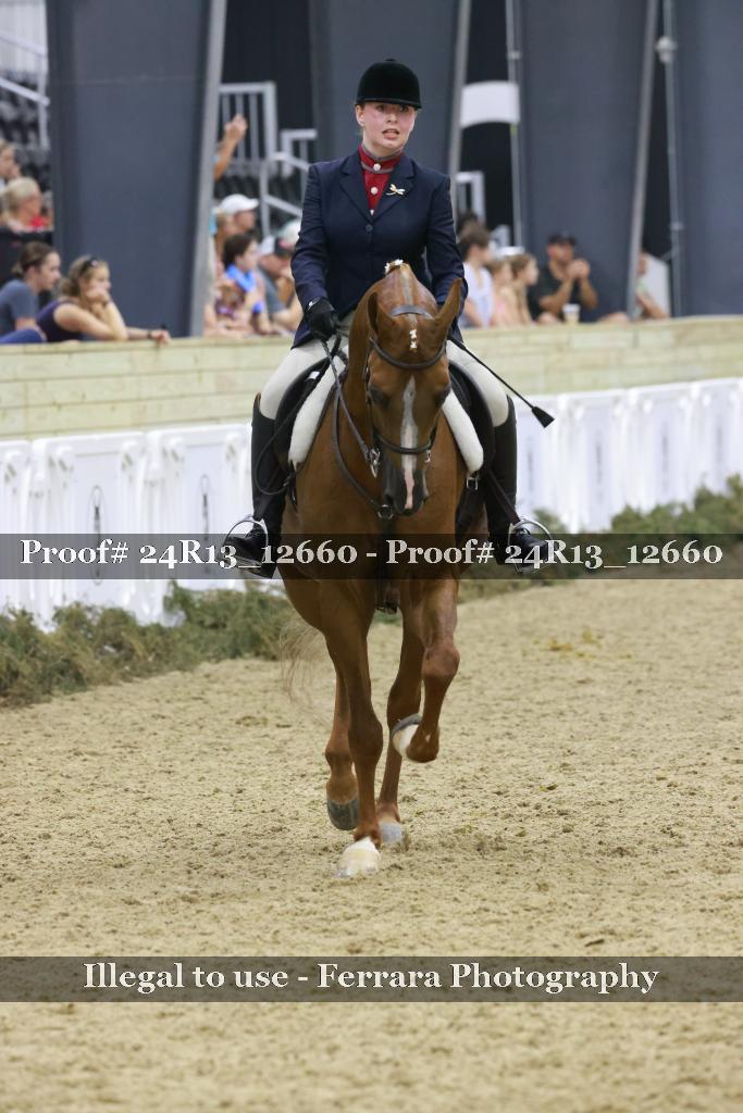 Proof Number 24R13_12660